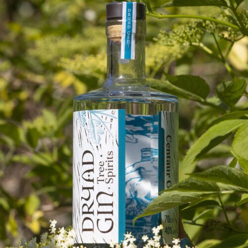 Dryad Gin Somerset Woodland Gin