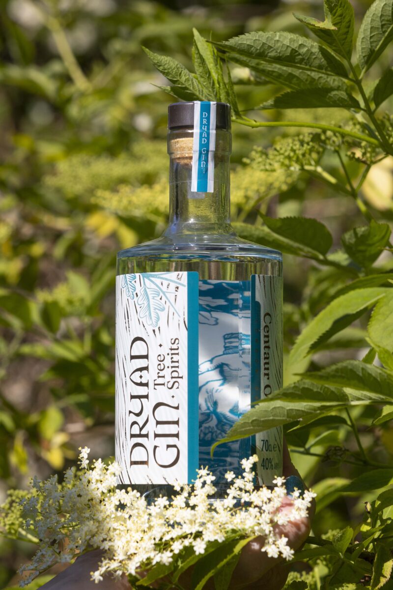 Dryad Gin Somerset Woodland Gin